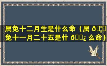 属兔十二月生是什么命（属 🦁 兔十一月二十五是什 🌿 么命）